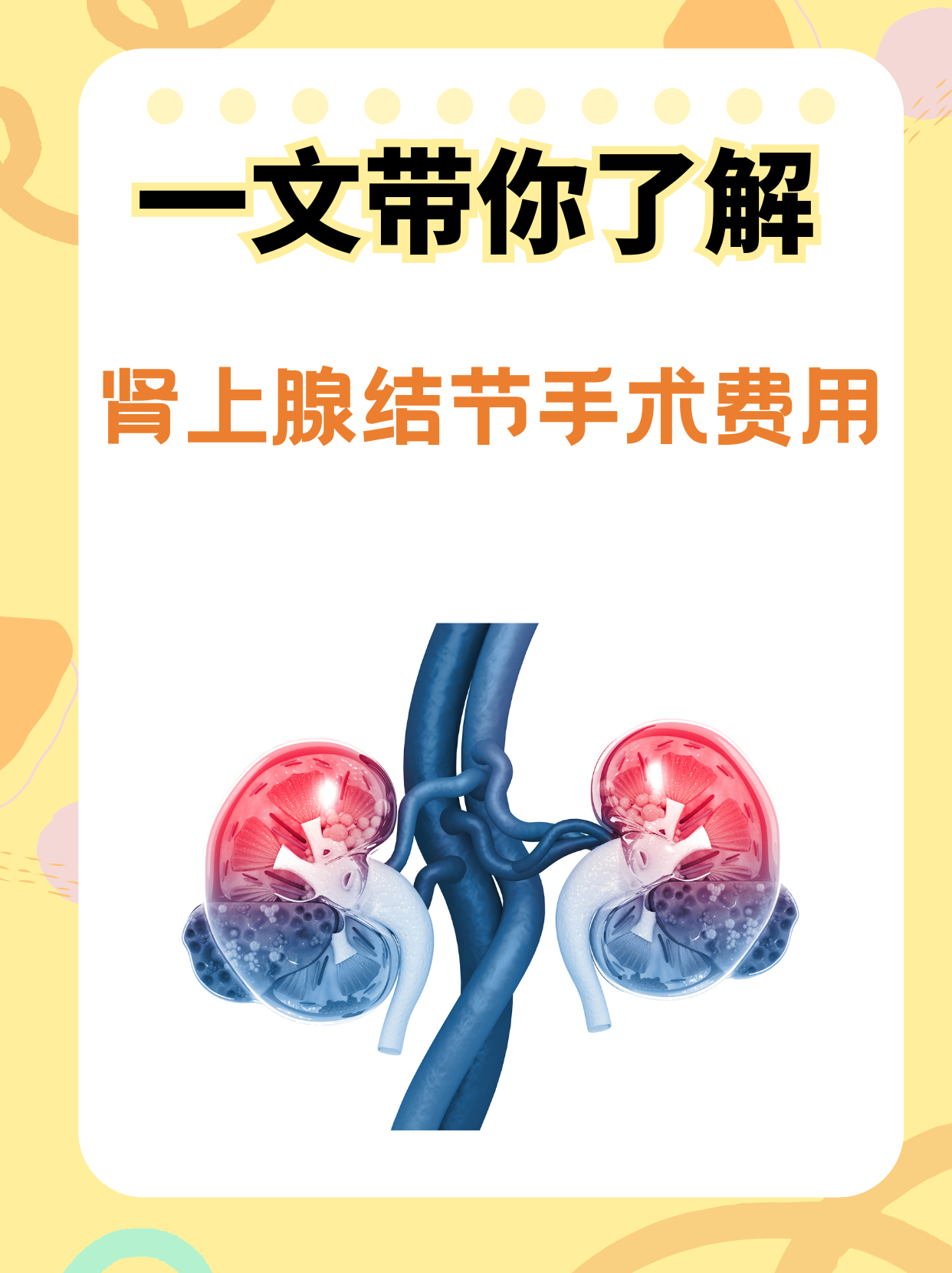 一文带你了解:肾上腺结节手术费用!