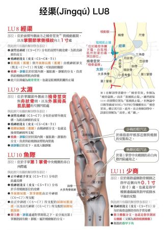 经渠穴(手太阴肺经第8穴)
