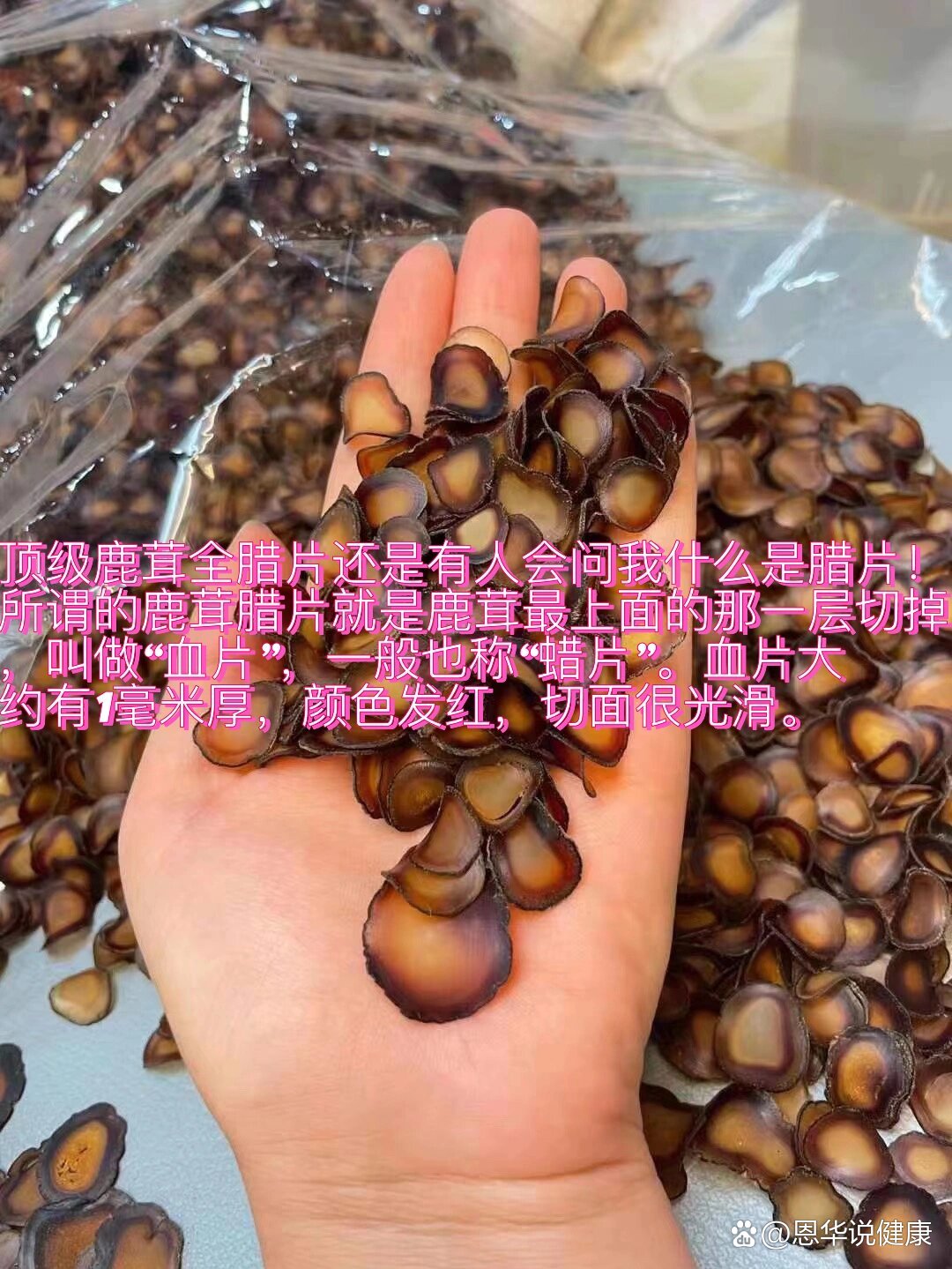 鹿茸肾宝片功能主治图片