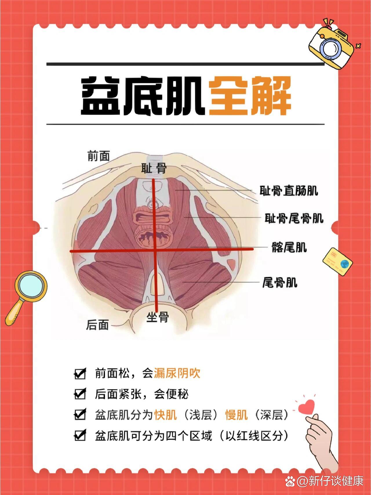 98盆底肌恢复丨不漏尿不膨出不脱垂04