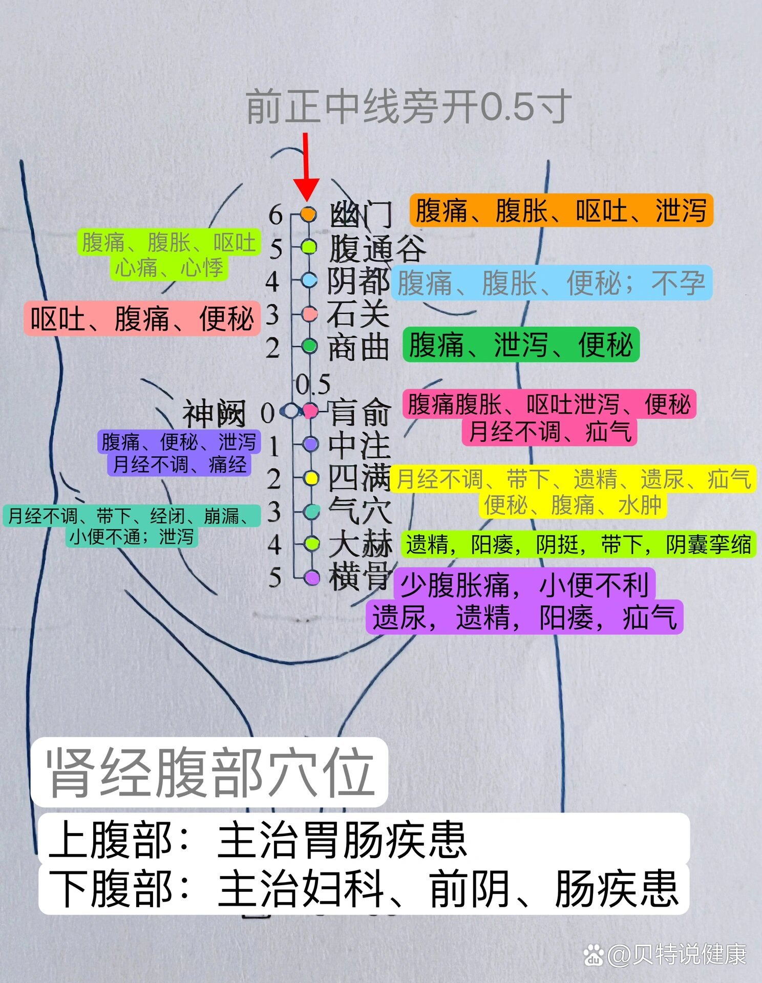 足少阴肾经络图图片