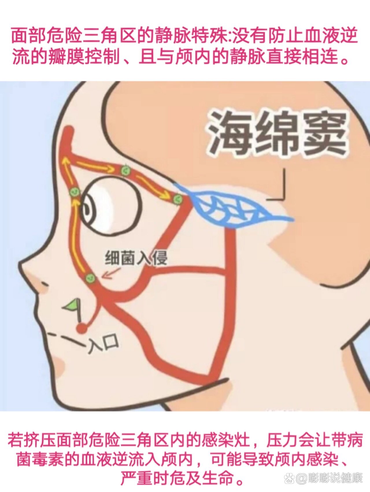 危险三角区电影图片