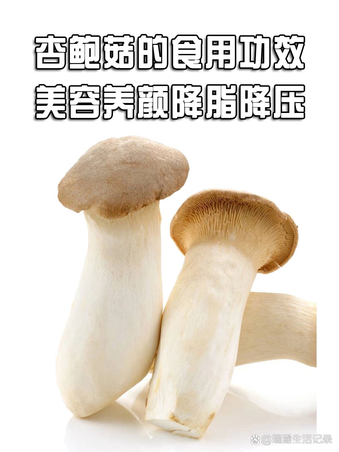 杏鲍菇的功效与作用图片