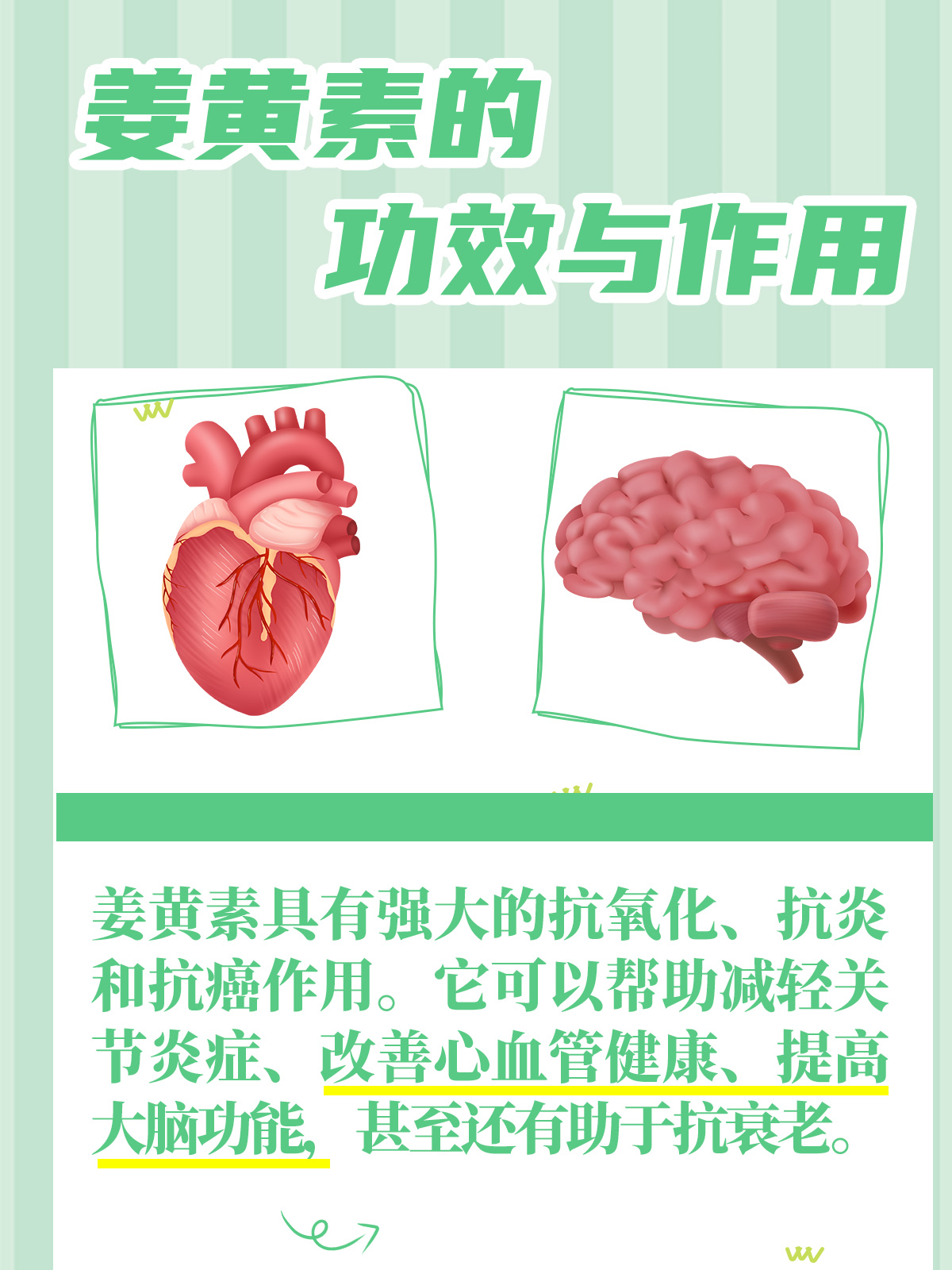 姜黄素的奇妙之旅:功效,秘诀与小贴士