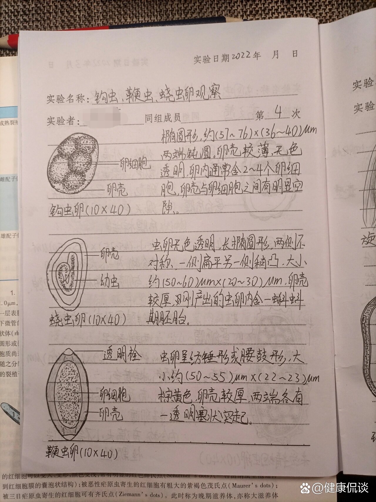 鞭虫卵 结构图片