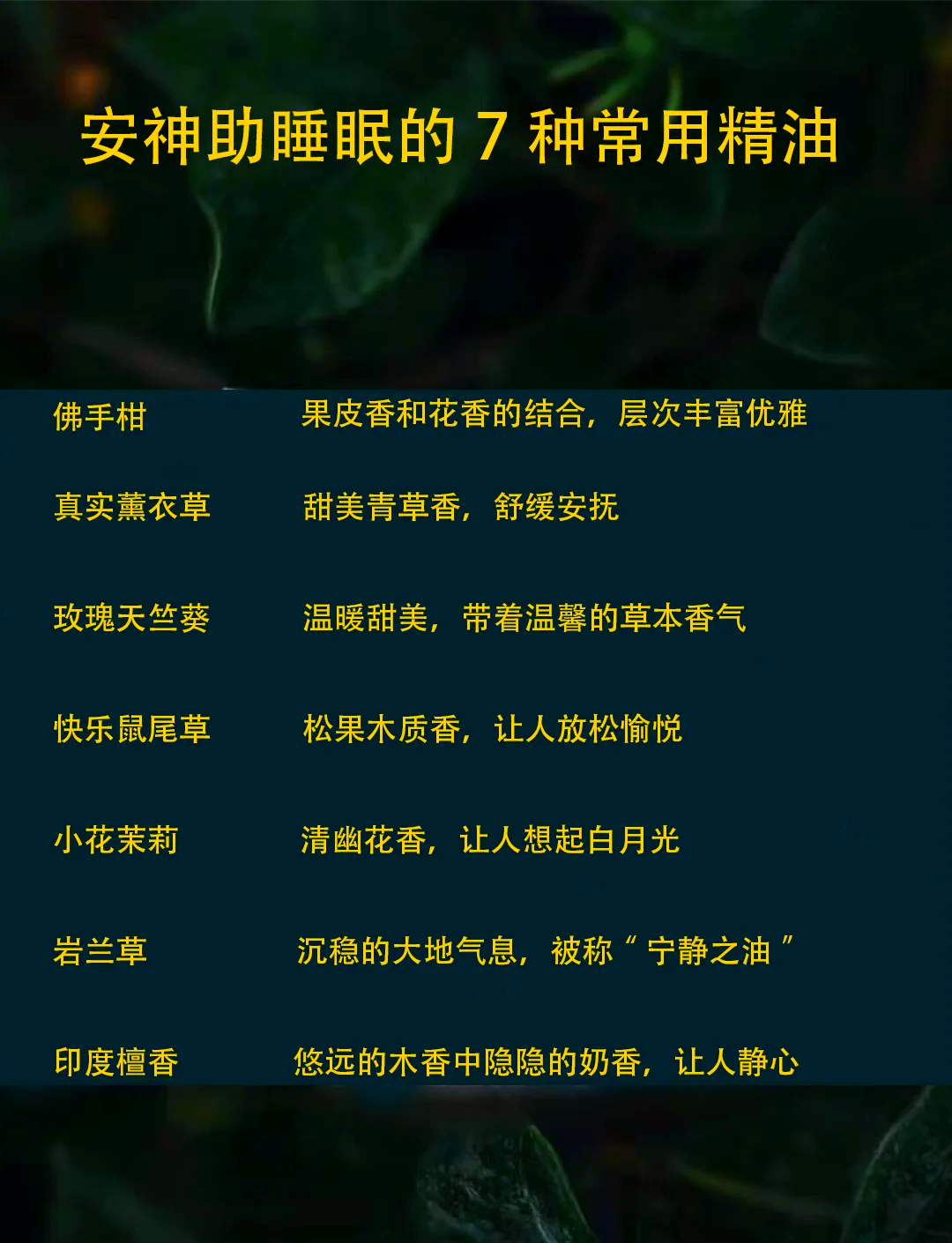 💤7大助眠精油，让你一晚安睡🌙