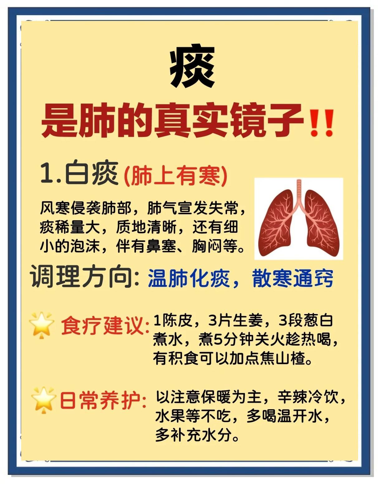 💡痰液：肺部健康的晴雨表🌧️