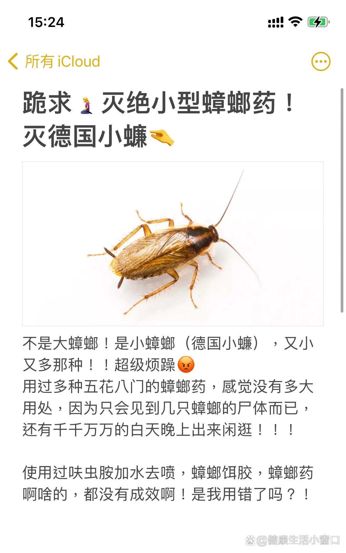 德国小蠊生长周期图片