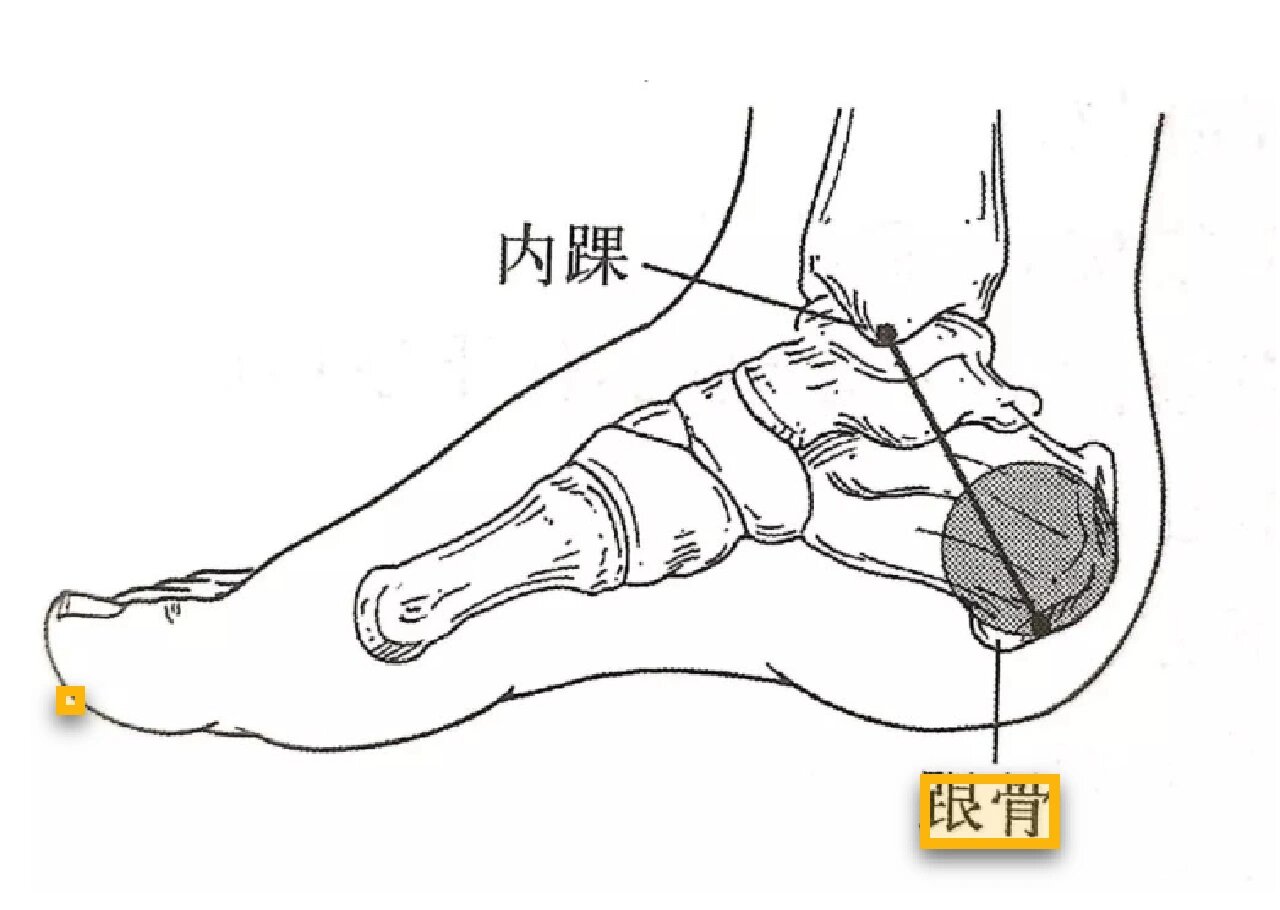 跟骨牵引进针点图片