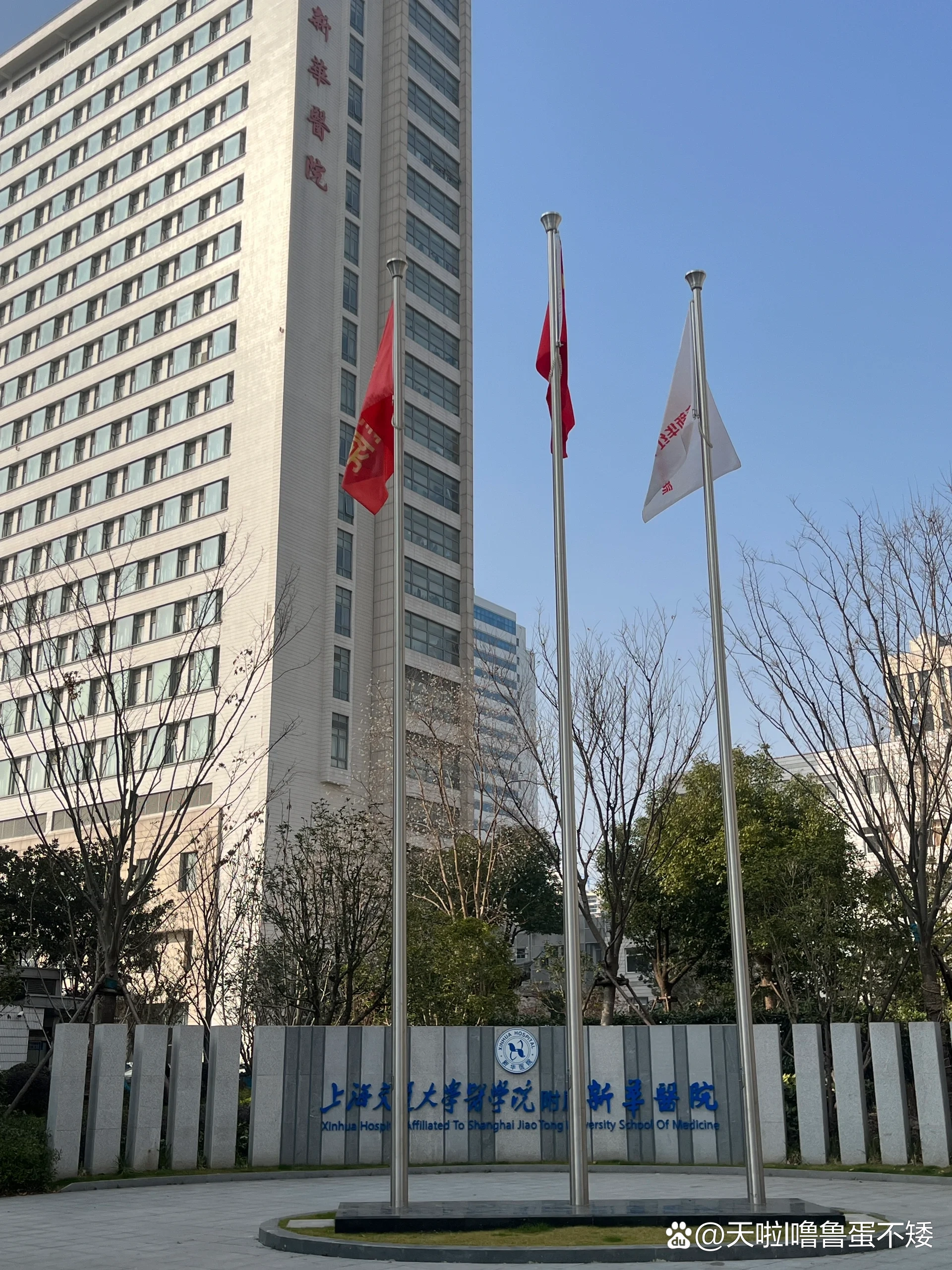 上海新华医院