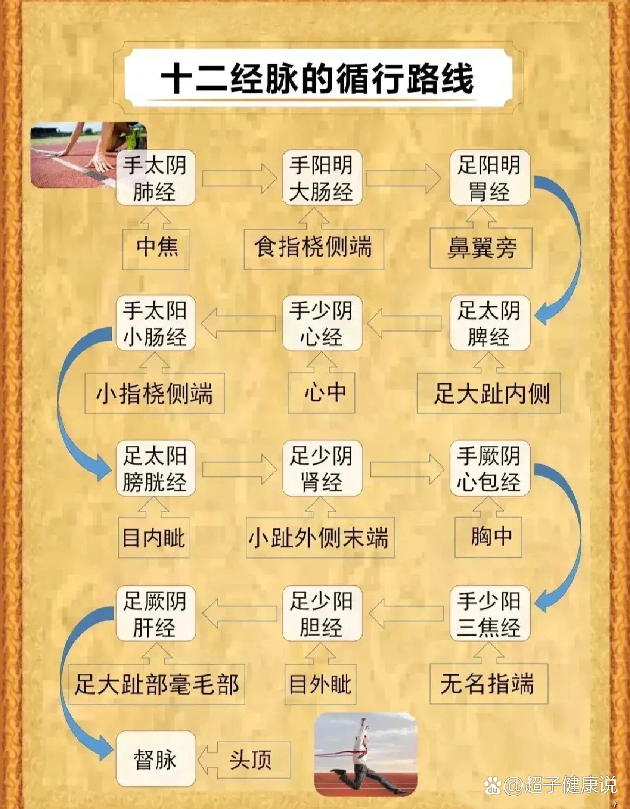 十二经脉循行路线