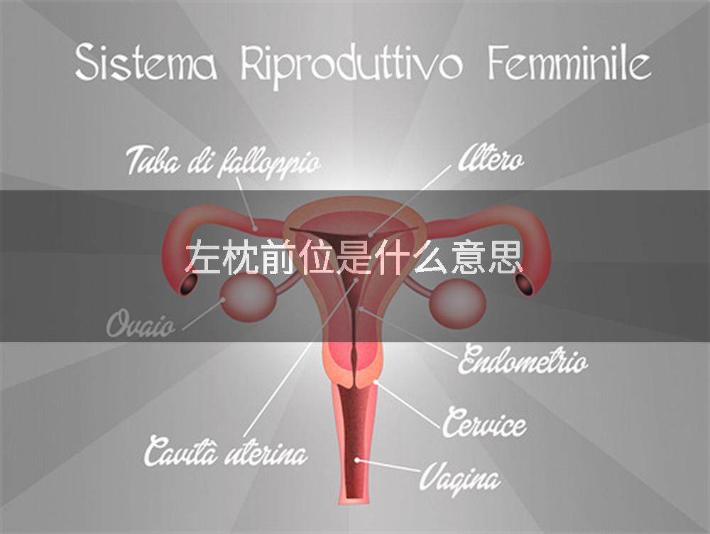 左枕前位是什么意思