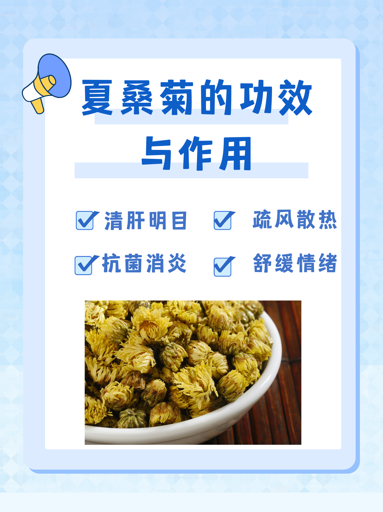 夏桑菊的功效与作用你知道吗?