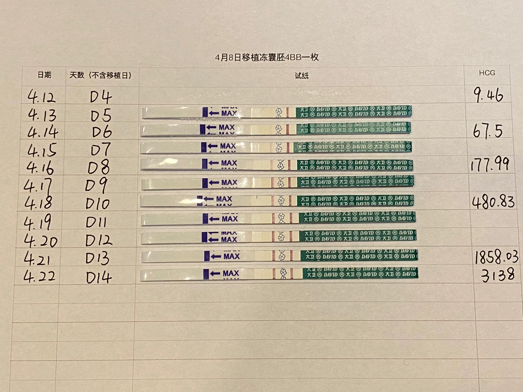 早孕试纸对照图 hcg图片