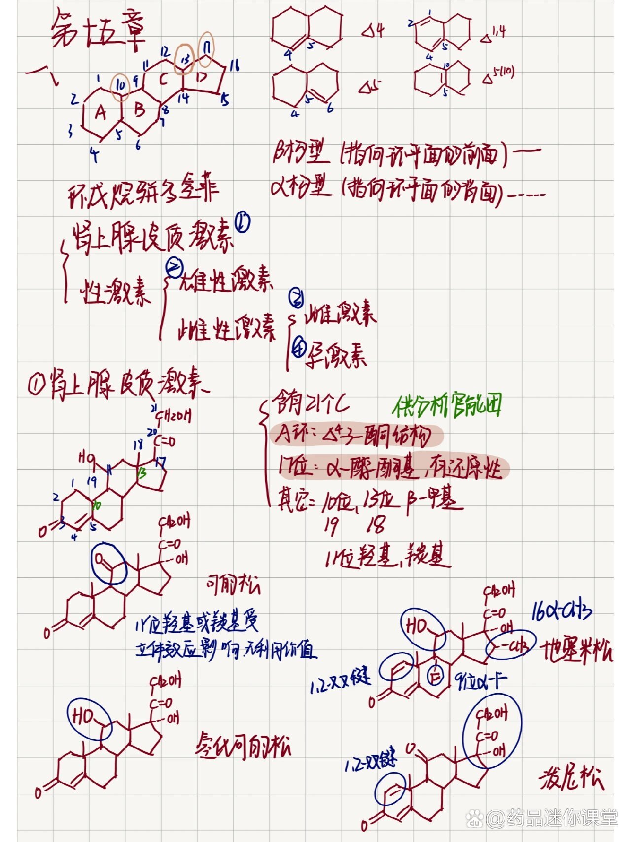 甾体激素类知识点:1⃣️甾体药物结构及