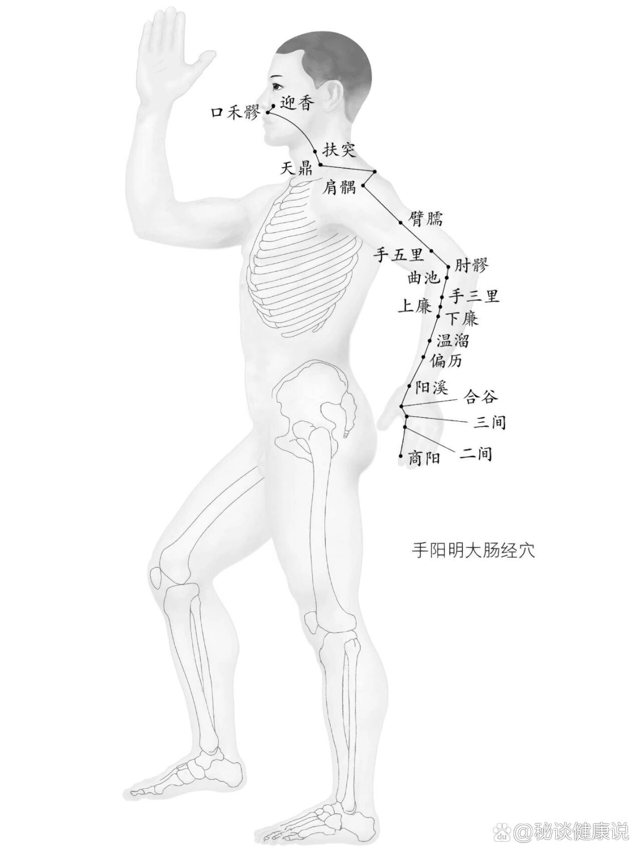 大肠经