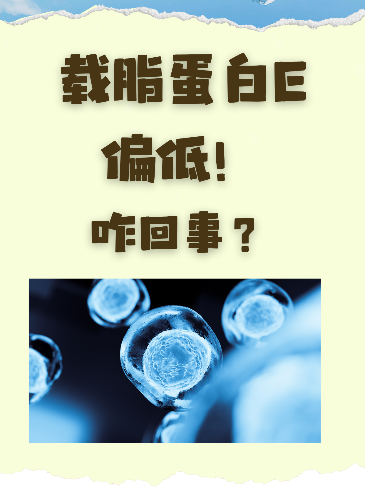 载脂蛋白b偏低的原因图片