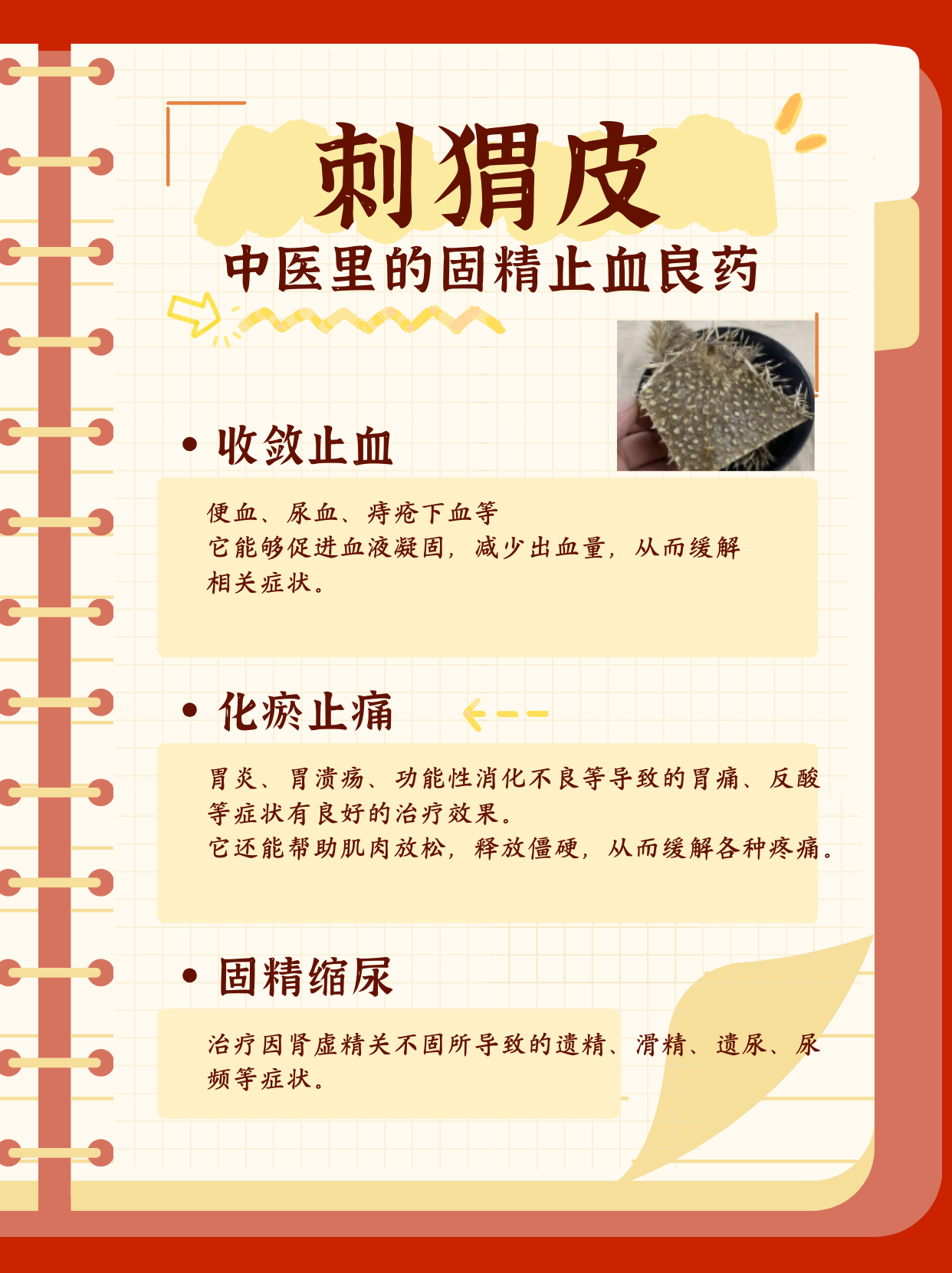 刺猬皮:中医里的固精止血良药,你了解多少?