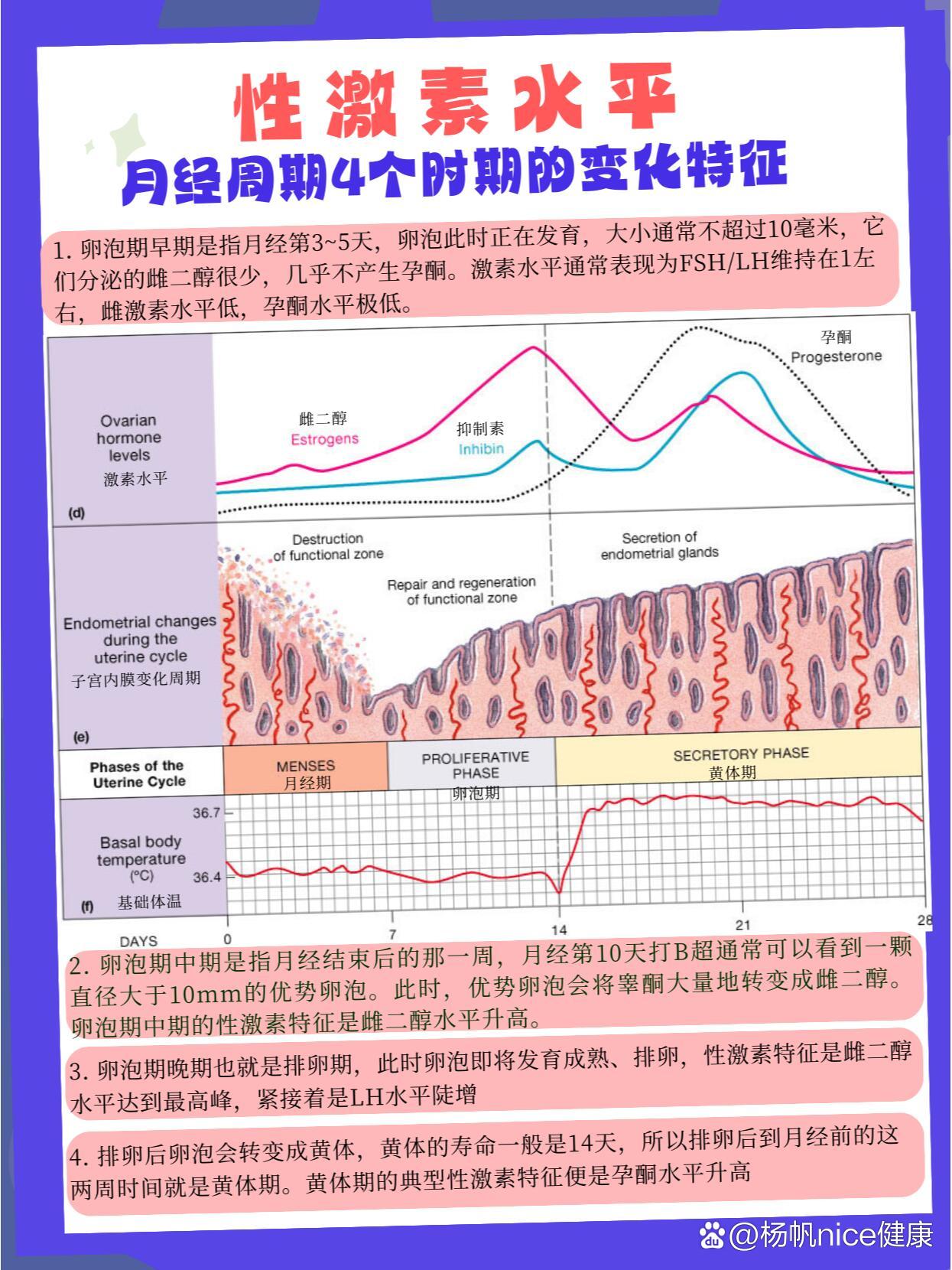 月经周期4个时期的激素六项水平变化特征!