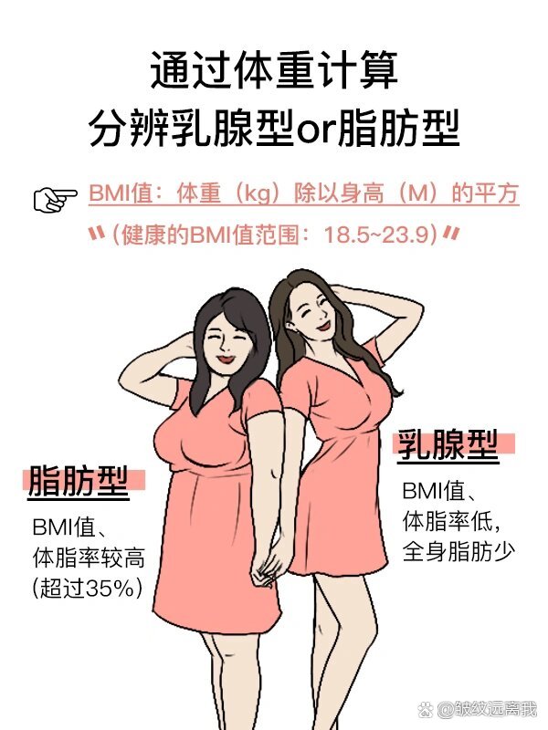 乳腺胸和脂肪胸区分图图片