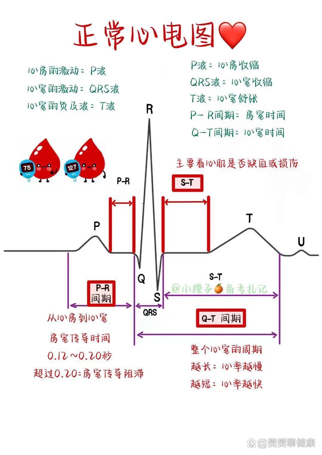 📖护师笔记