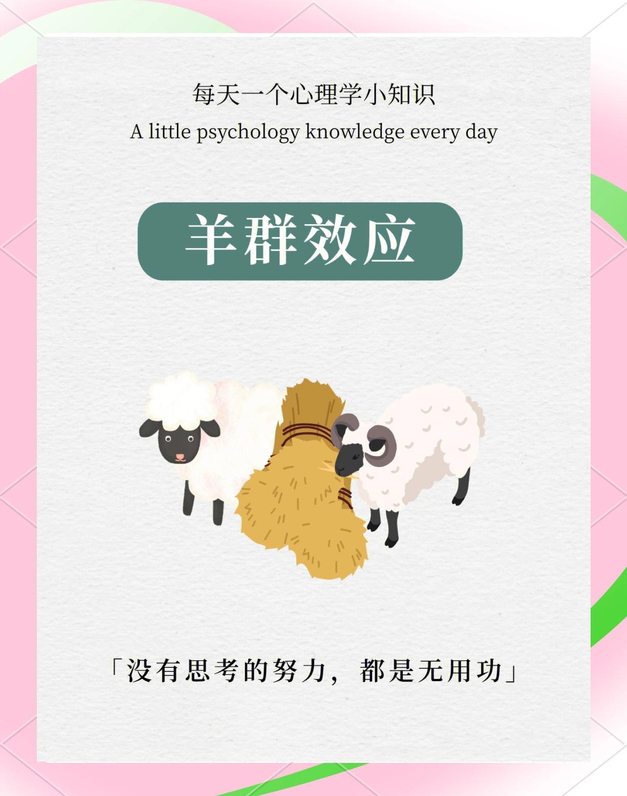 🐑羊群效应：从众心理的心理学解析