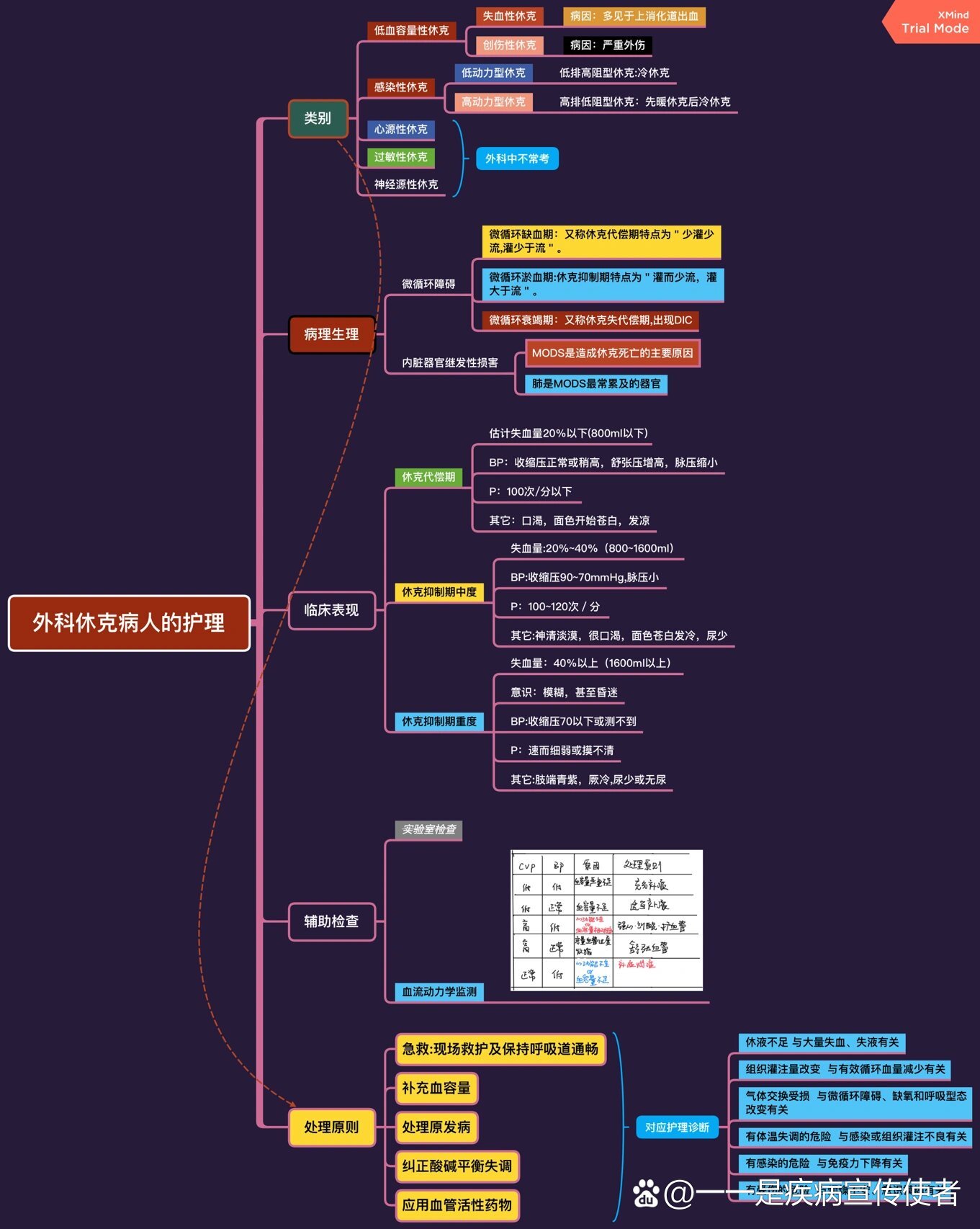 外科护理,休克章节思维导图