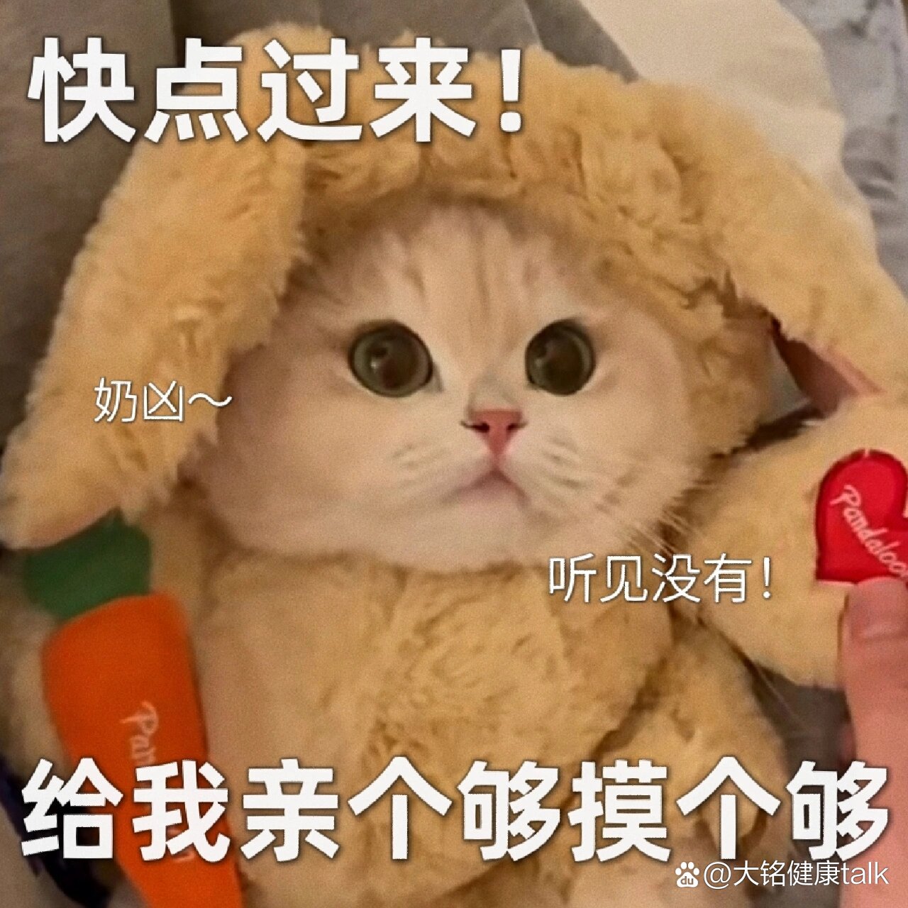 表情包|人家生病了,需要亲热解毒嘻