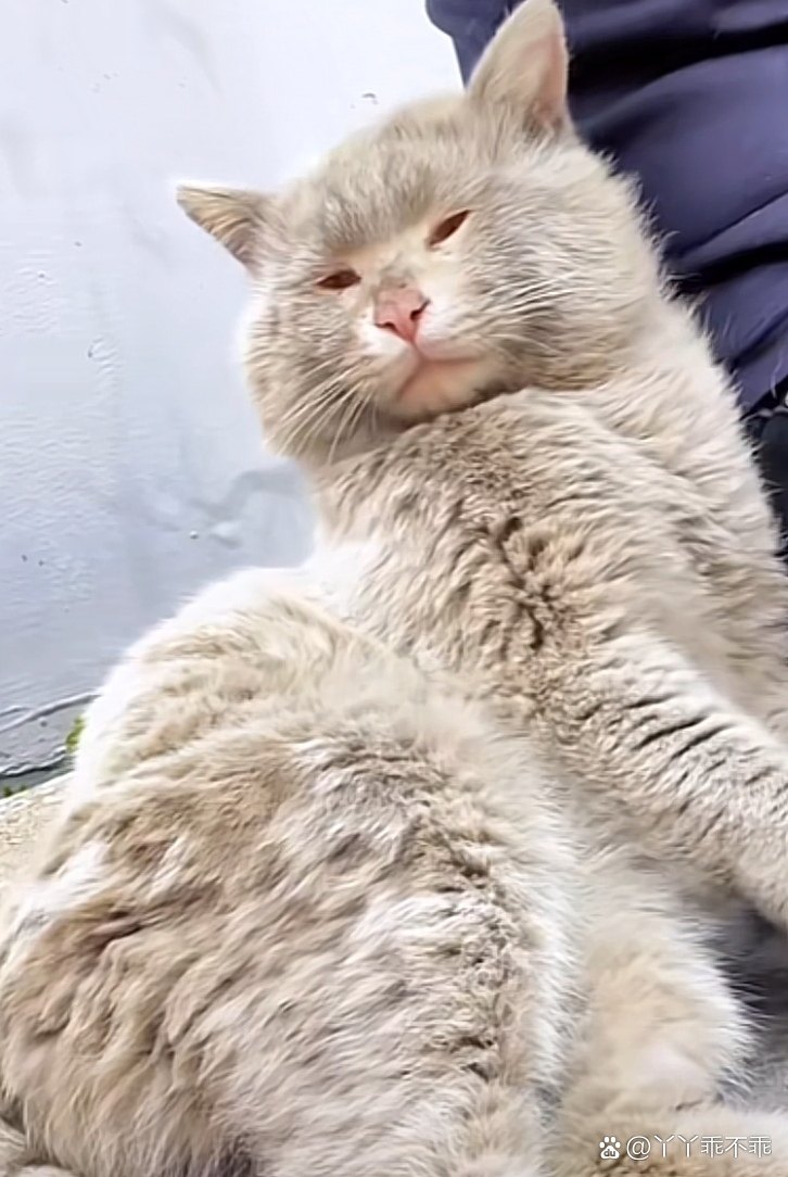 老公胳膊肘很痒,