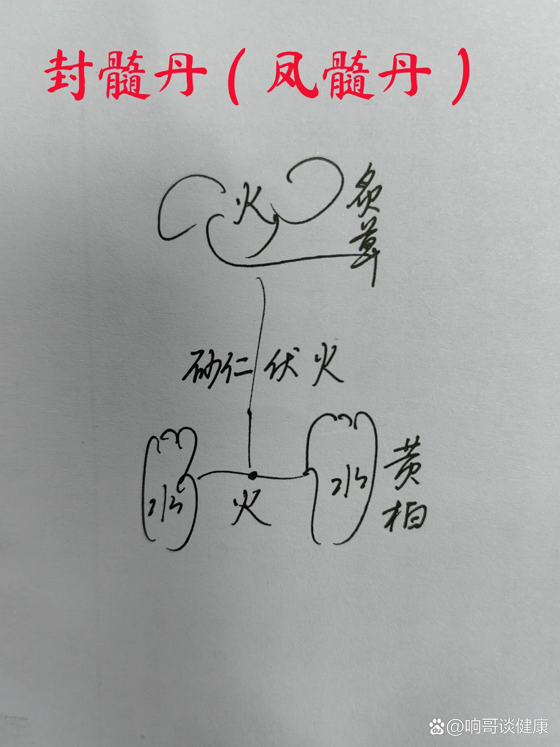 潜阳封髓丹组成 全网资源