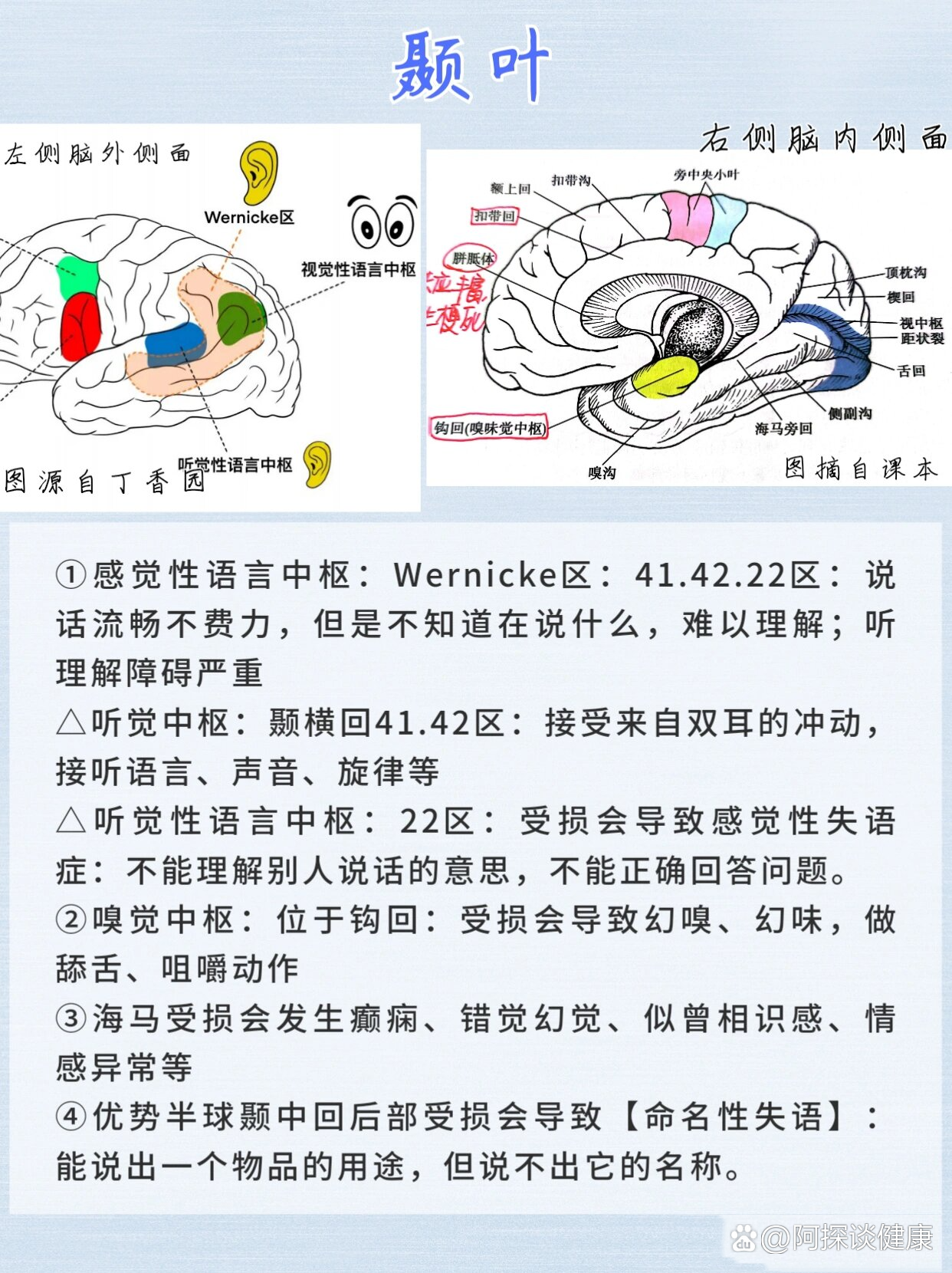 你知道为什么大脑不是所有的区域都有功能吗?