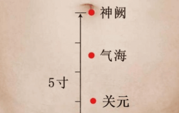 气海的准确位置图片及功效