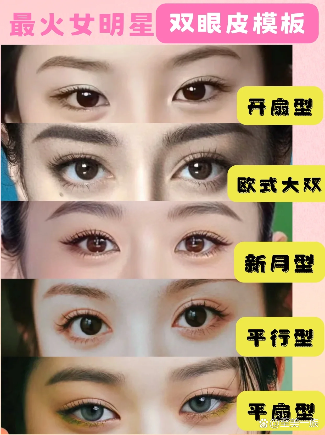 顶流女明星双眼皮模版,该怎么选