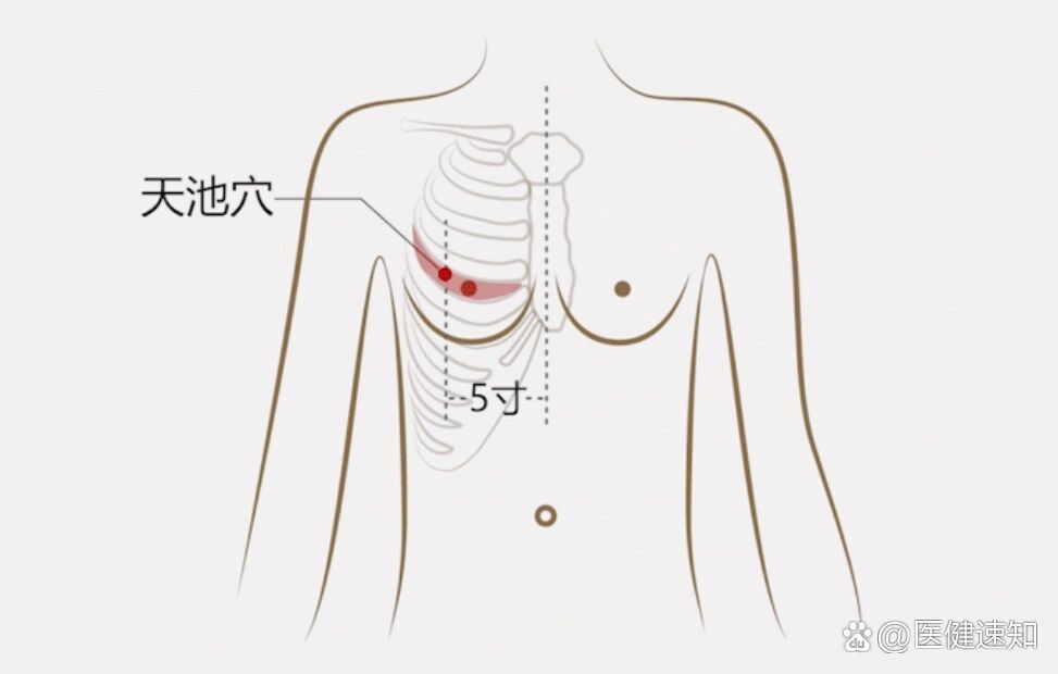 女性天池的准确位置图图片