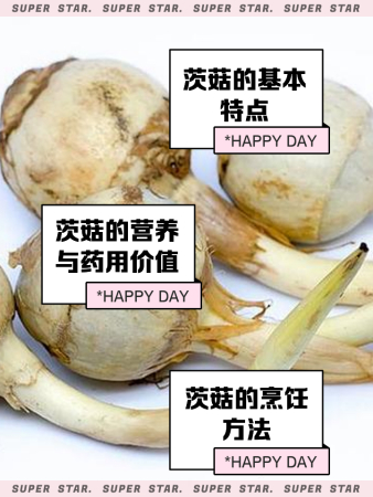 茨菇