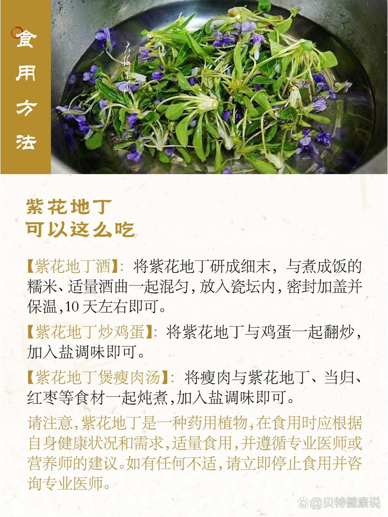 紫花地丁:神奇野菜,功效超乎你想象!