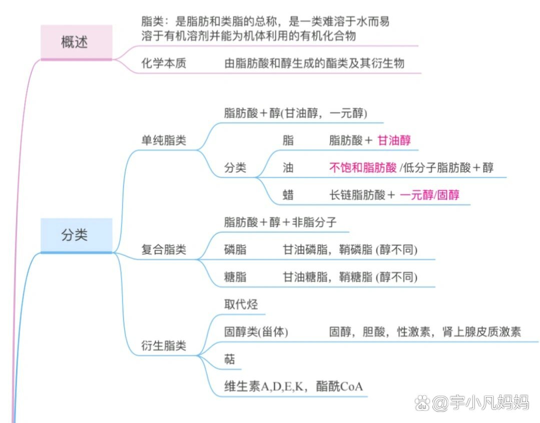 生物化学思维导图