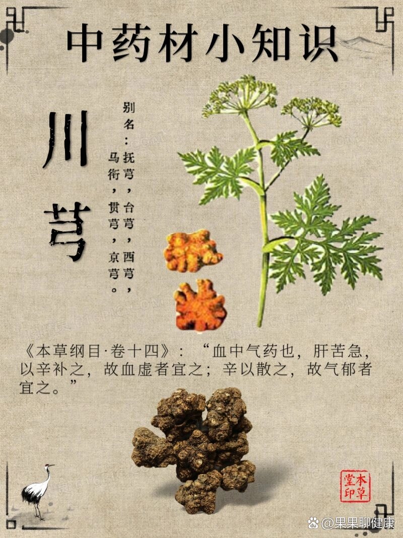 磷酸川芎嗪胶囊的功效图片