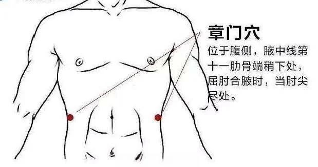 章门穴定位与功效