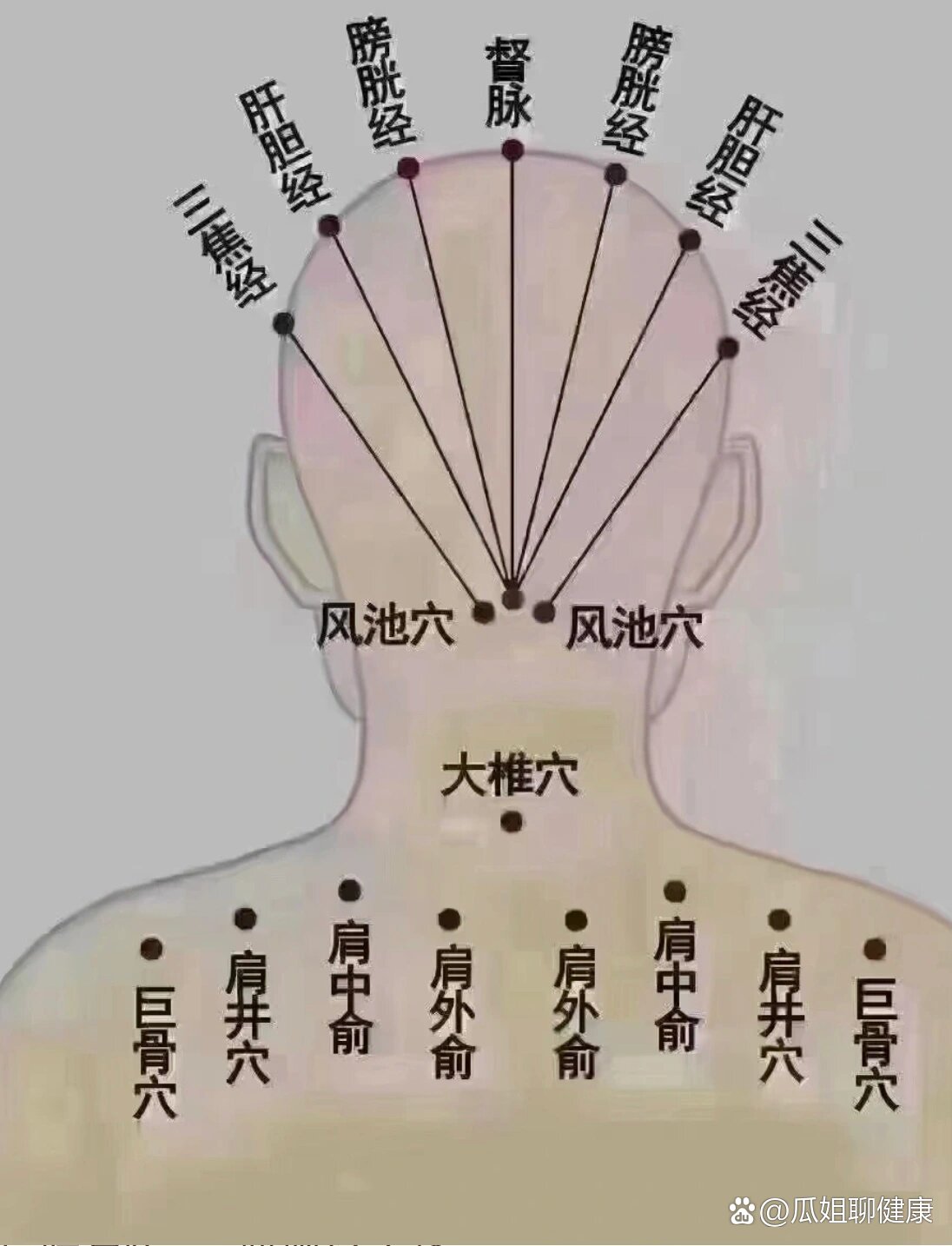 头部胆经 位置图图片