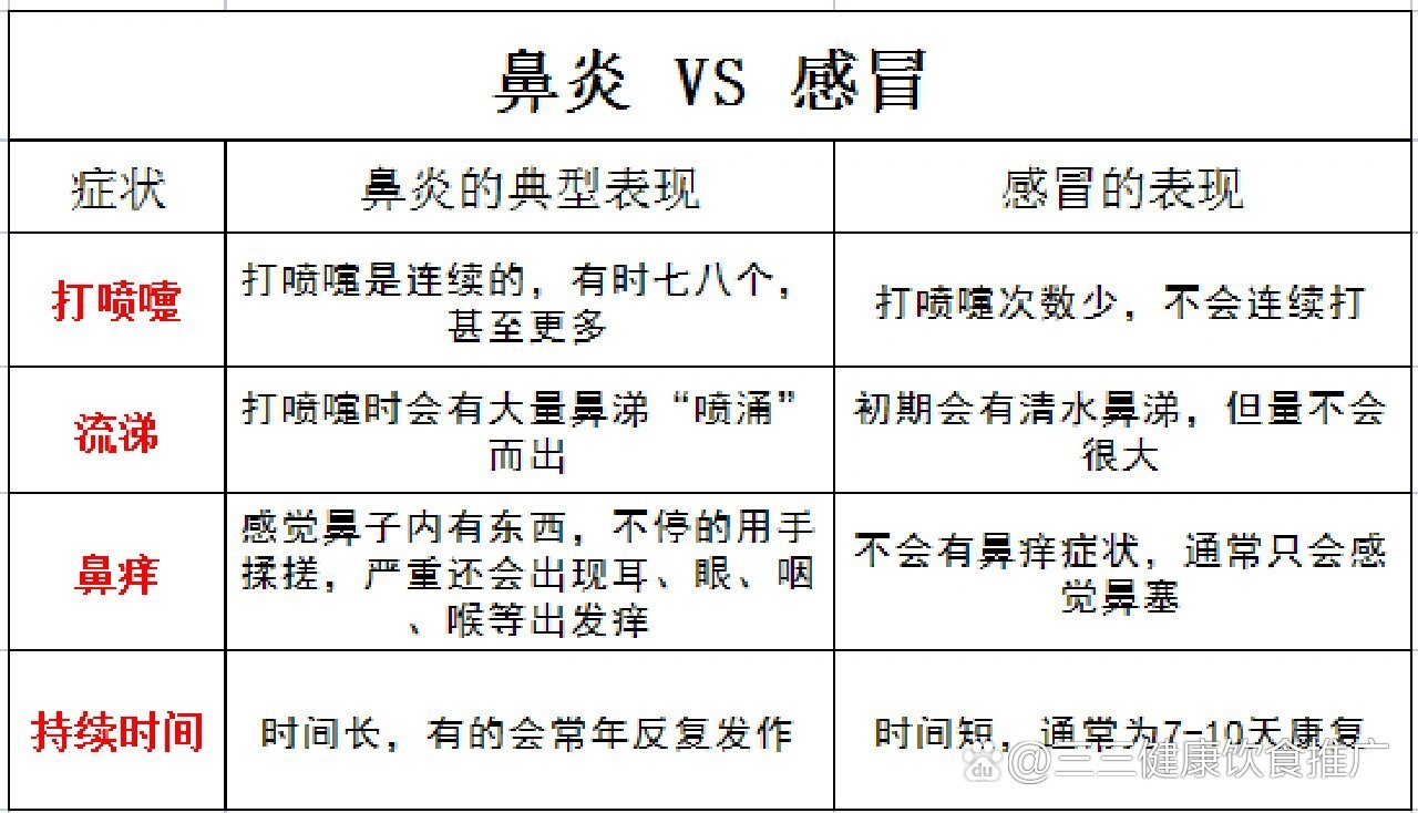 鼻窦炎和鼻炎区别图片