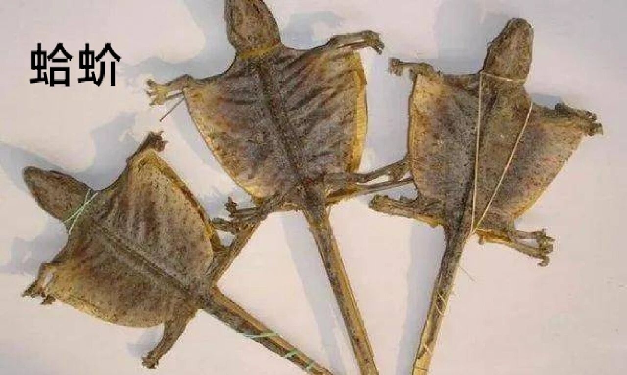 人参蛤蚧散(补肺益肾.止咳定喘