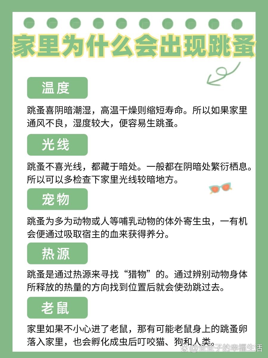 家里跳蚤到底从哪来的