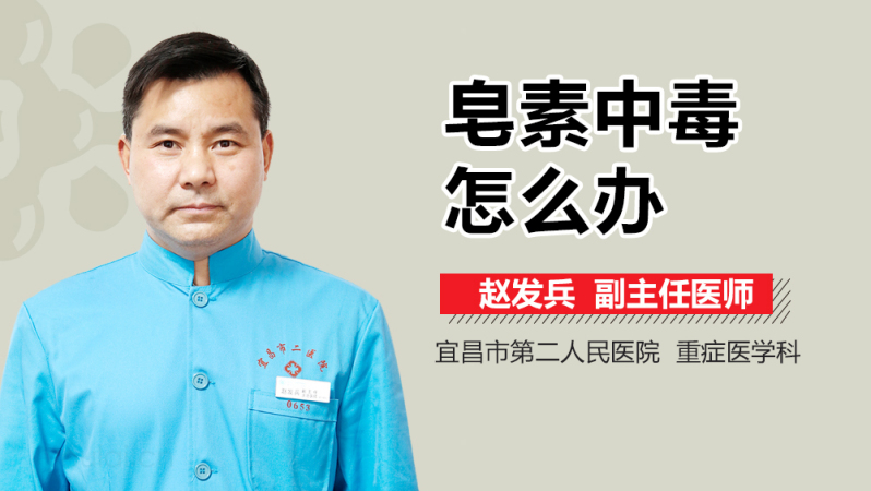 皂素中毒怎么办