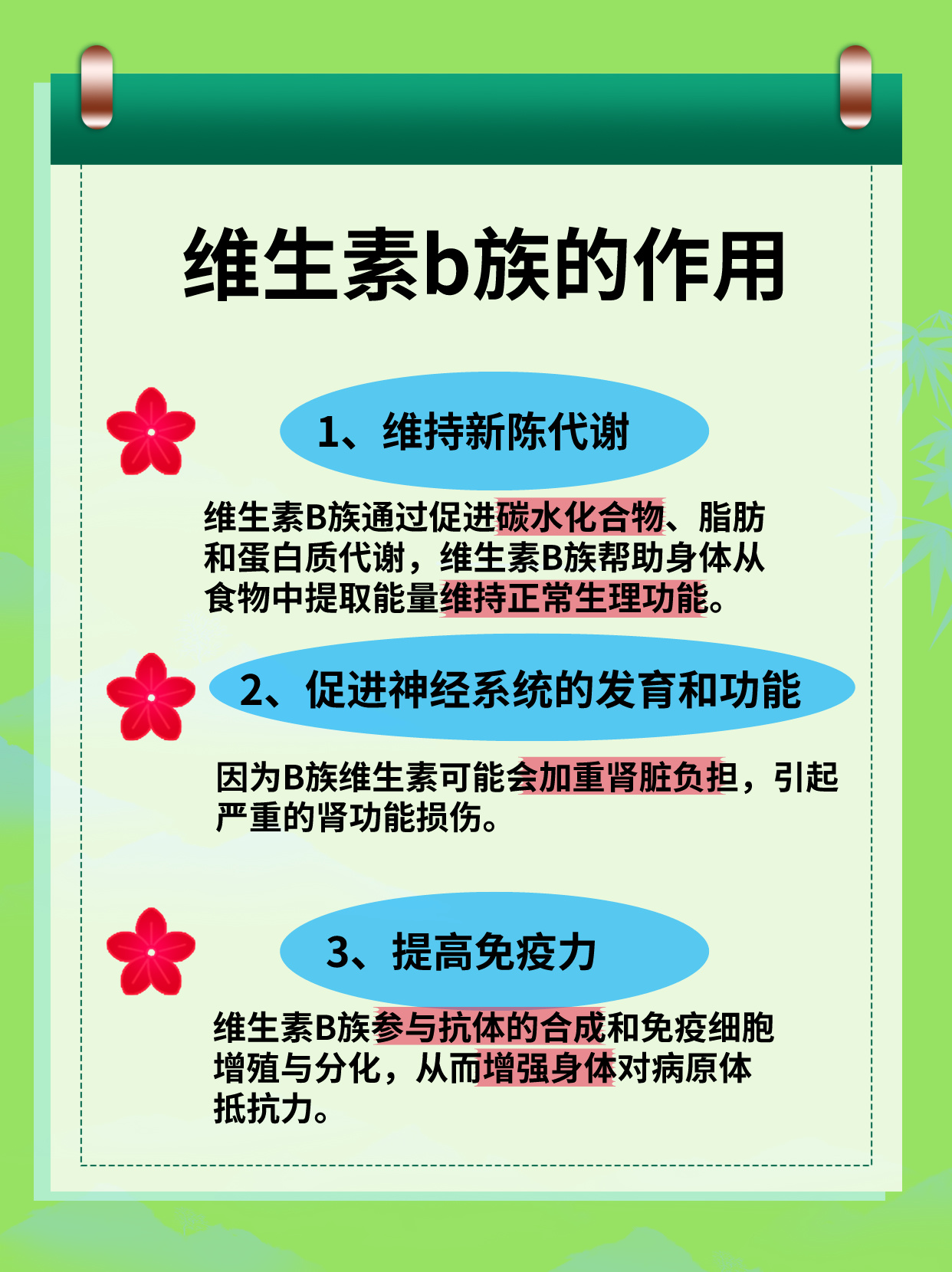 维生素b族的作用,看完这篇你就懂了!
