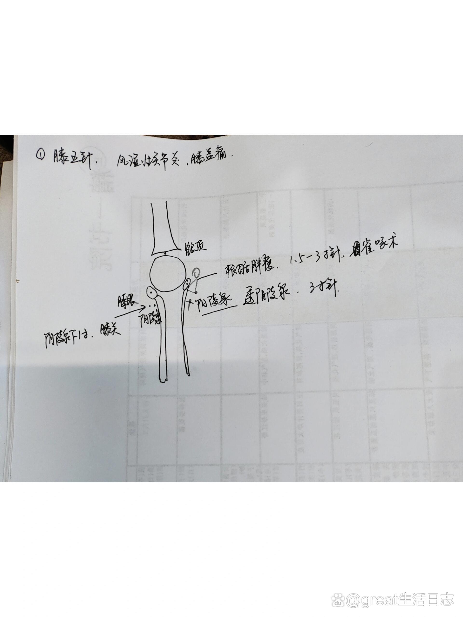 膝关节腔注射定位图解图片