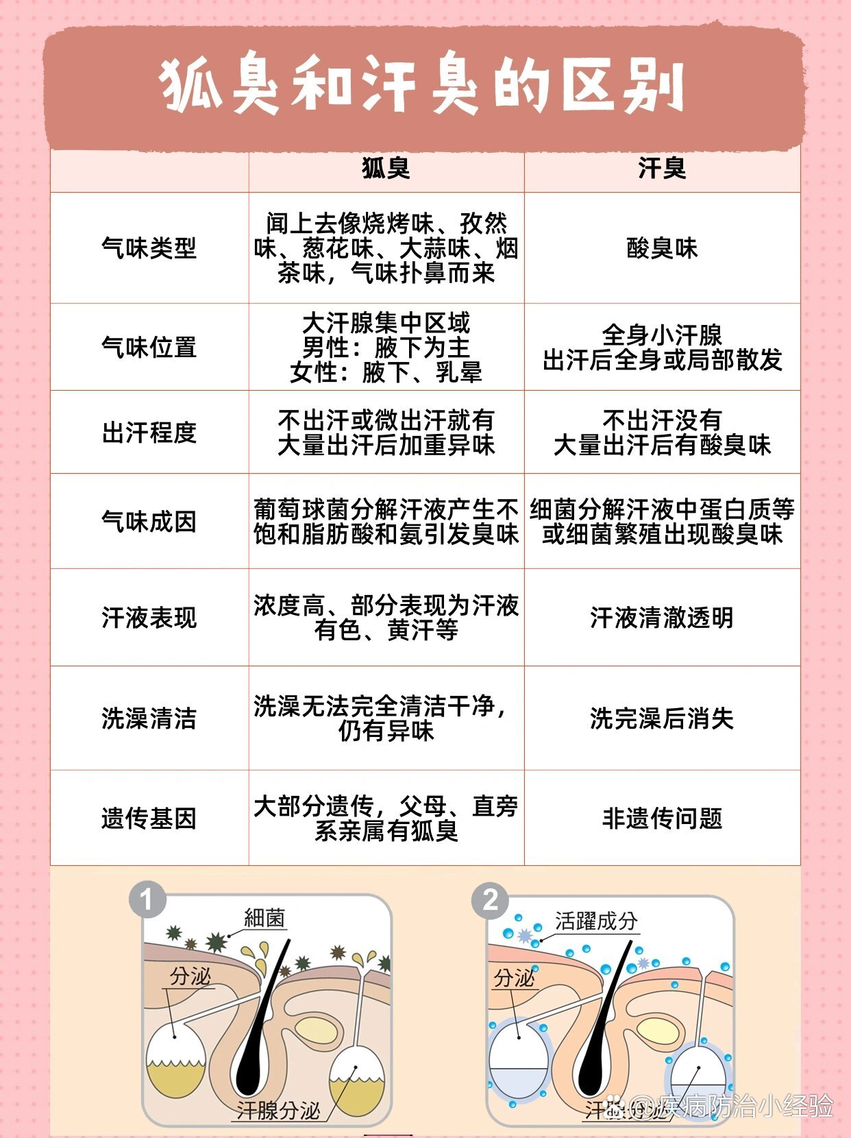 一眼看懂|区分狐臭与汗臭