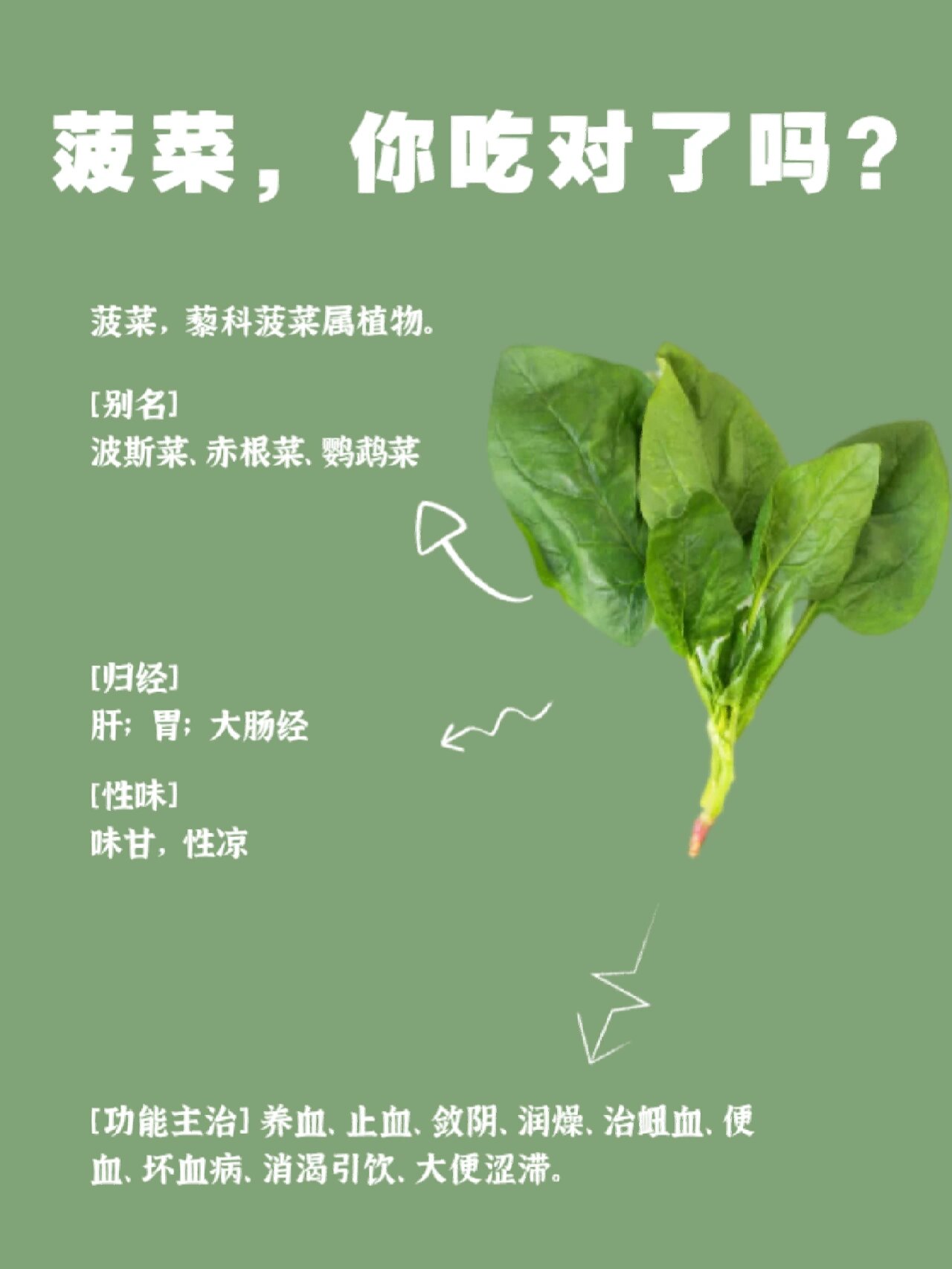 菠菜关键词排名 全网资源