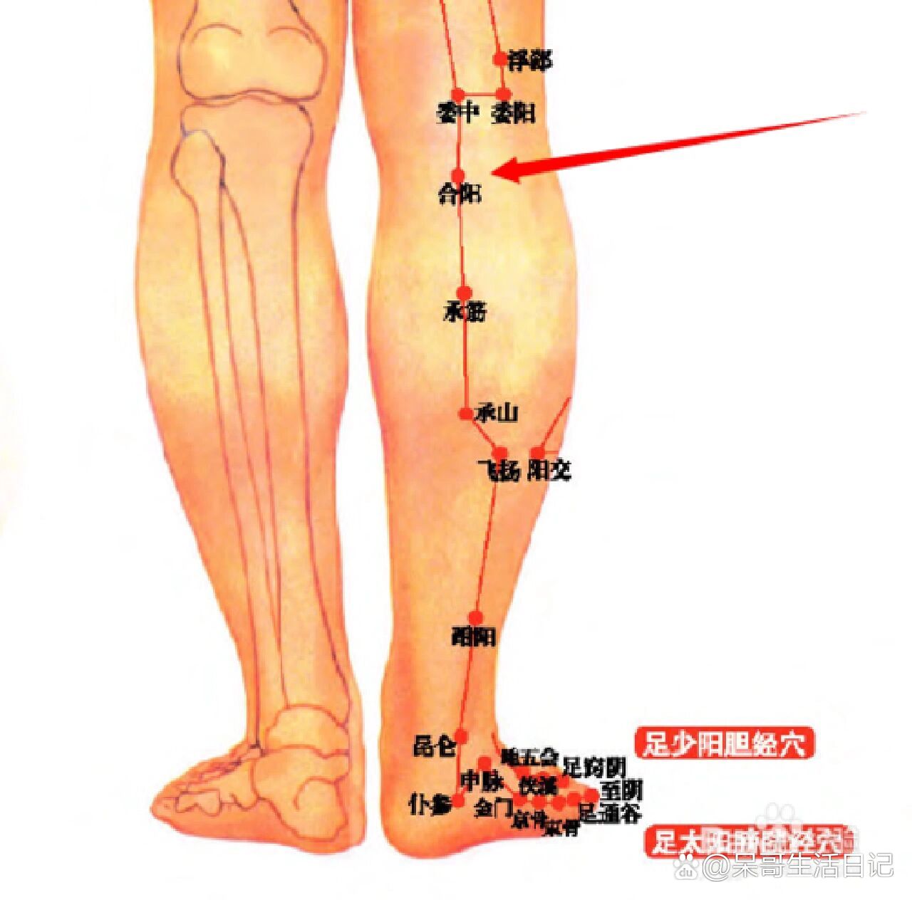 合阳的准确位置图图片