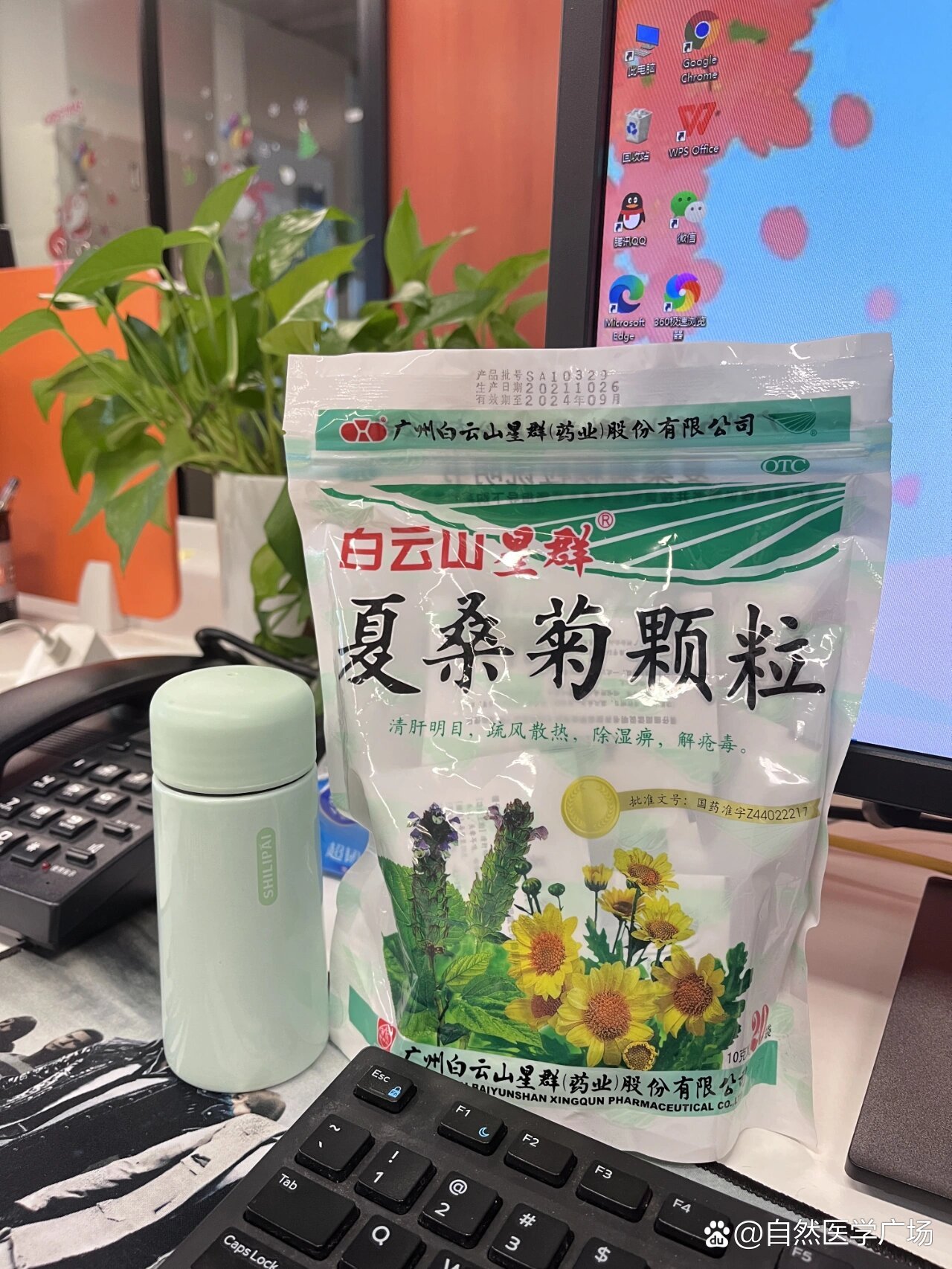 夏桑菊颗粒pop手绘图片